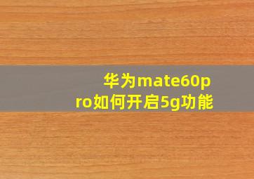 华为mate60pro如何开启5g功能