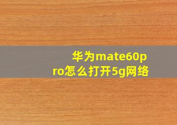 华为mate60pro怎么打开5g网络