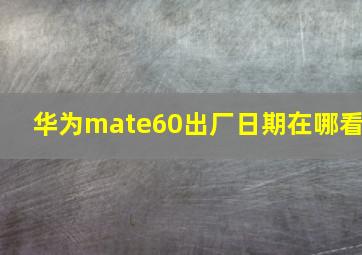 华为mate60出厂日期在哪看