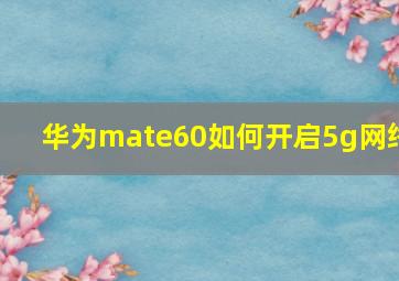 华为mate60如何开启5g网络