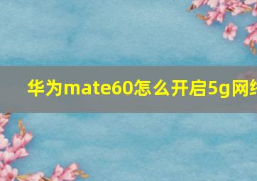 华为mate60怎么开启5g网络