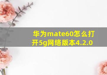 华为mate60怎么打开5g网络版本4.2.0