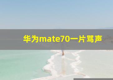 华为mate70一片骂声