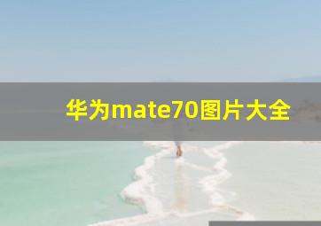 华为mate70图片大全