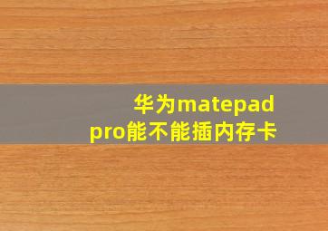 华为matepadpro能不能插内存卡