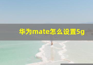 华为mate怎么设置5g