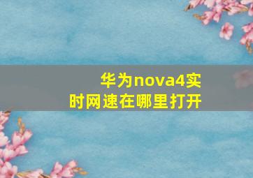 华为nova4实时网速在哪里打开