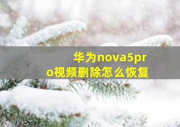 华为nova5pro视频删除怎么恢复