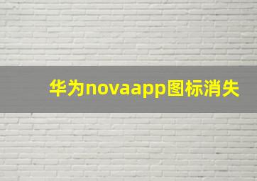 华为novaapp图标消失