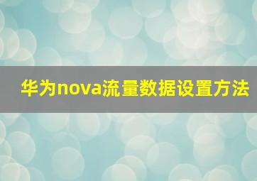 华为nova流量数据设置方法