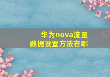 华为nova流量数据设置方法在哪