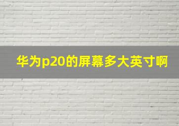 华为p20的屏幕多大英寸啊