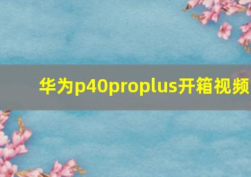 华为p40proplus开箱视频