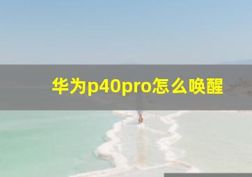 华为p40pro怎么唤醒