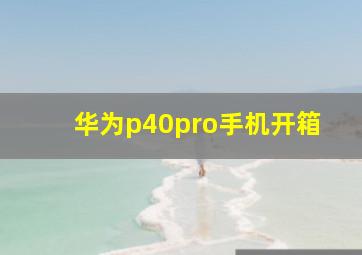 华为p40pro手机开箱