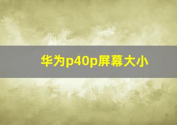 华为p40p屏幕大小