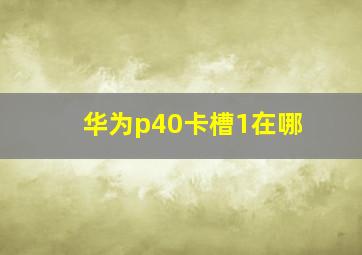 华为p40卡槽1在哪