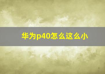 华为p40怎么这么小