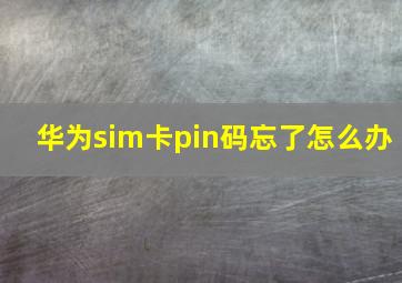 华为sim卡pin码忘了怎么办