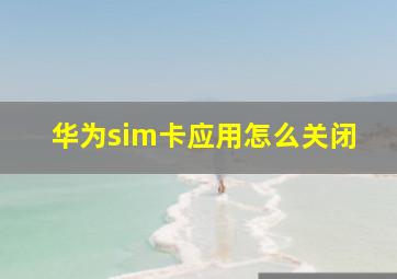 华为sim卡应用怎么关闭