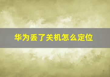 华为丢了关机怎么定位