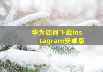 华为如何下载instagram安卓版