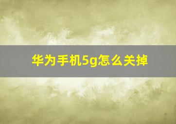 华为手机5g怎么关掉