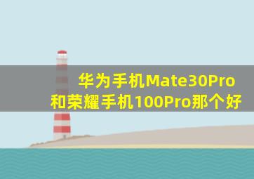 华为手机Mate30Pro和荣耀手机100Pro那个好