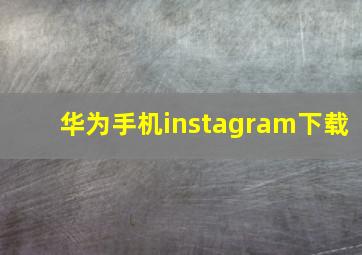 华为手机instagram下载