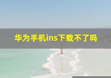 华为手机ins下载不了吗