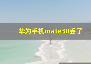 华为手机mate30丢了