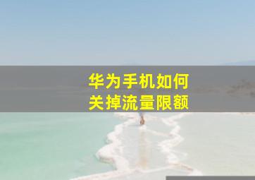 华为手机如何关掉流量限额