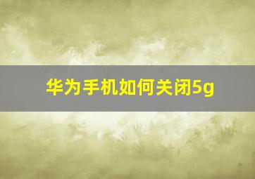 华为手机如何关闭5g