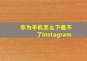 华为手机怎么下载不了instagram