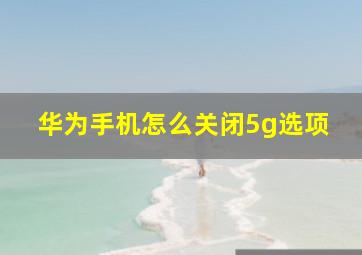 华为手机怎么关闭5g选项