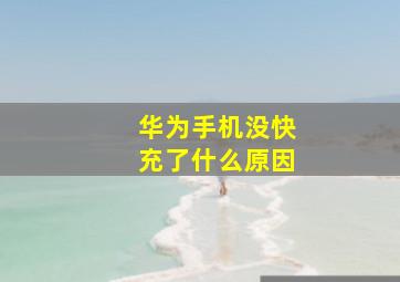 华为手机没快充了什么原因