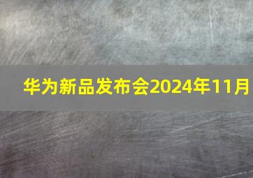 华为新品发布会2024年11月