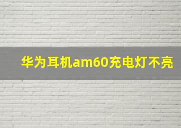 华为耳机am60充电灯不亮