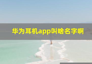 华为耳机app叫啥名字啊