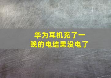 华为耳机充了一晚的电结果没电了