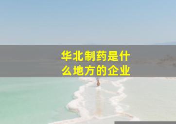 华北制药是什么地方的企业