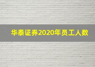 华泰证券2020年员工人数