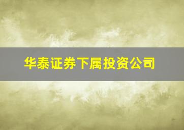 华泰证券下属投资公司