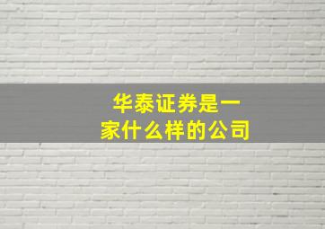 华泰证券是一家什么样的公司