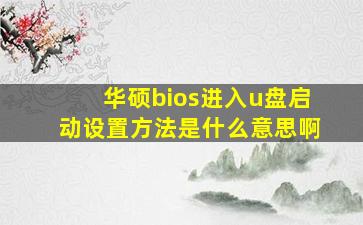 华硕bios进入u盘启动设置方法是什么意思啊