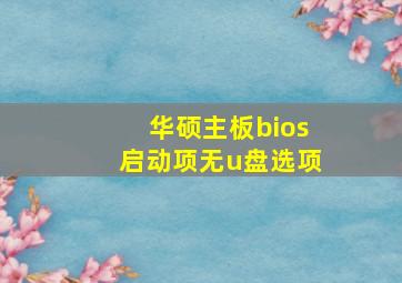 华硕主板bios启动项无u盘选项