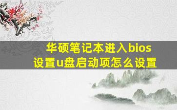 华硕笔记本进入bios设置u盘启动项怎么设置