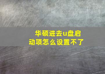 华硕进去u盘启动项怎么设置不了