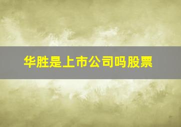 华胜是上市公司吗股票