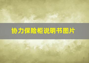 协力保险柜说明书图片